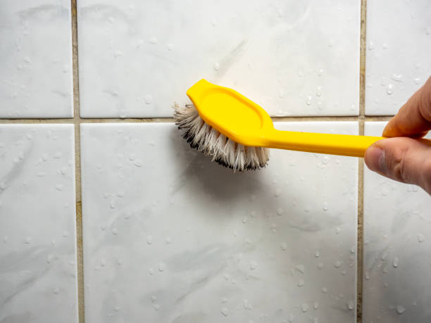 Best Certified Mold Removal  in Golden Valley, AZ