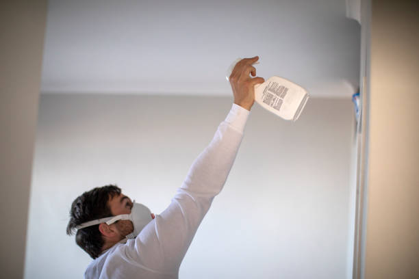 Best Professional Mold Removal  in Golden Valley, AZ